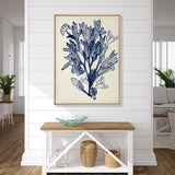 Seaweed Collage VI (Indigo) (Canvas) Large (903mm W x 1109mm H)