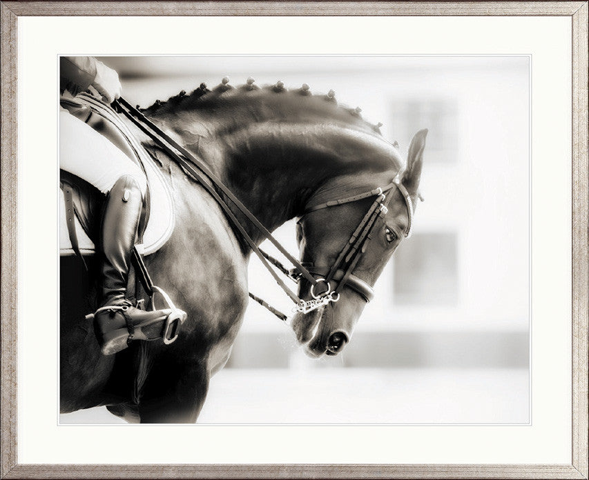 Equestre I