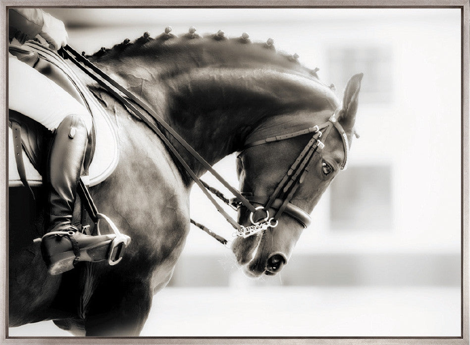 Equestre I (Canvas)