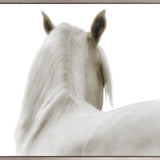 Les Chevaux II (Canvas)