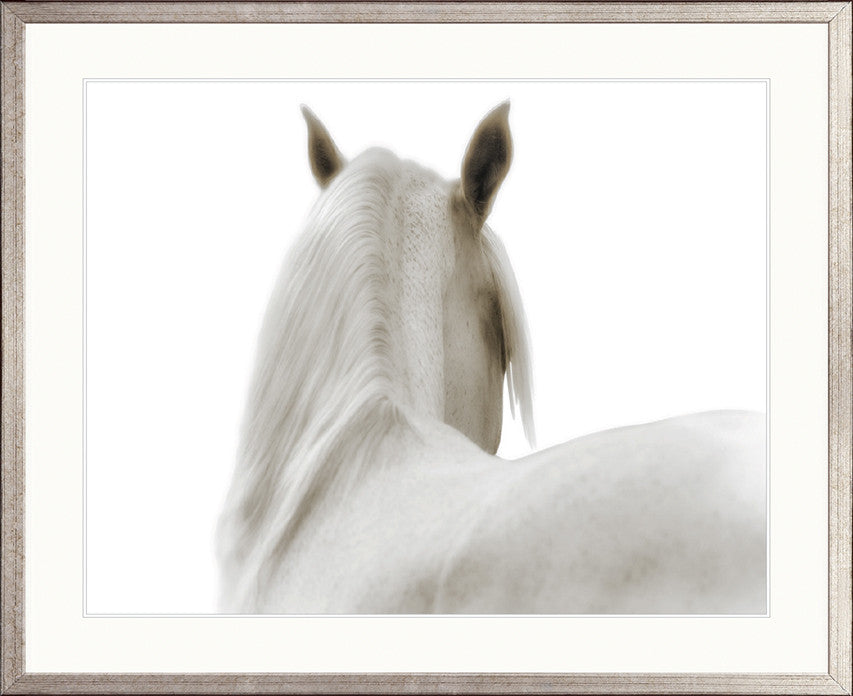 Les Chevaux I