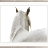 Les Chevaux I