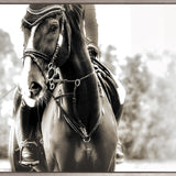 Equestre II (Canvas)