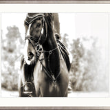 Equestre II