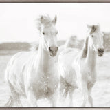 Les Chevaux VI (Canvas)