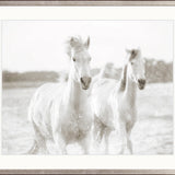 Les Chevaux III