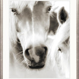 Les Chevaux V