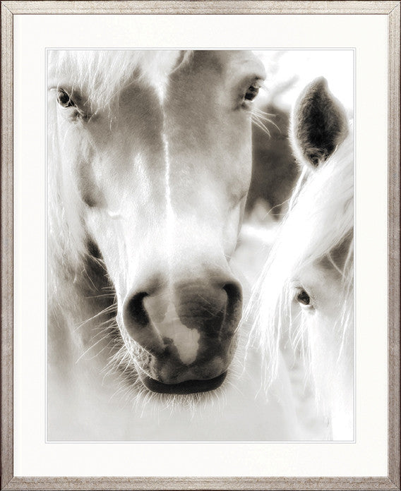 Les Chevaux V
