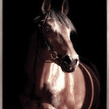 Les Chevaux  (Canvas)
