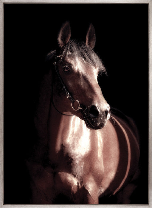 Les Chevaux  (Canvas)