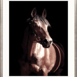 Les Chevaux VI