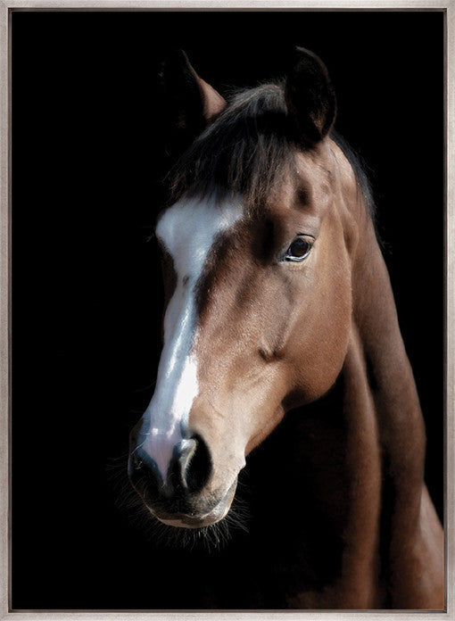 Les Chevaux XII (Canvas)