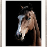 Les Chevaux VII