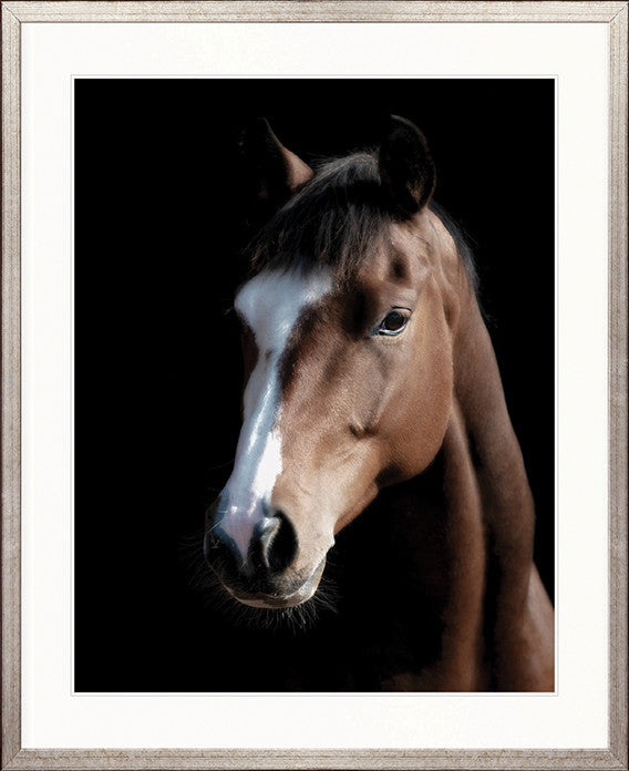 Les Chevaux VII
