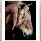 Equestre VI