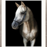 Les Chevaux IX