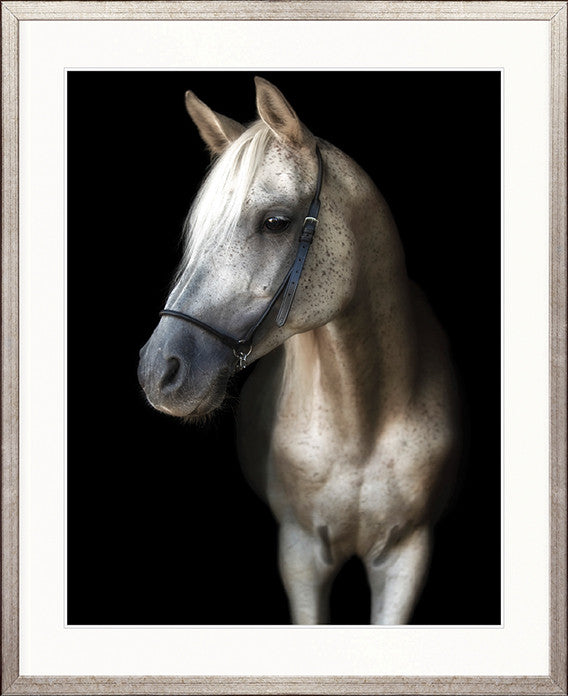 Les Chevaux IX