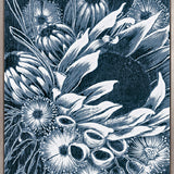 Lillianfels Native XXII (Canvas)