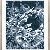 Lillianfels Native XXII