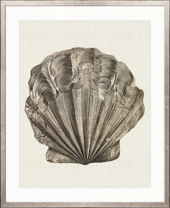 Black & White Shell V