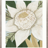 Lunaria II Small (465mm W x 560mm H) / Standard Clear Glass