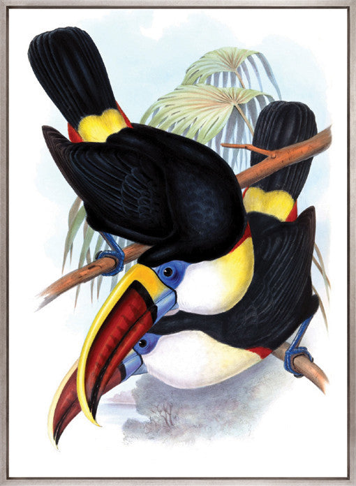 Toucan Tango I (Canvas)