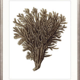 Exotic Coral III