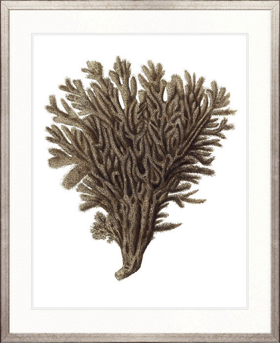 Exotic Coral III