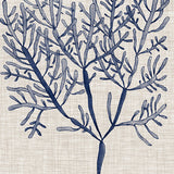 Delicate Seaweed III (Canvas) Large (903mm W x 1109mm H)