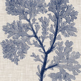 Delicate Seaweed V (Canvas) Large (903mm W x 1109mm H)