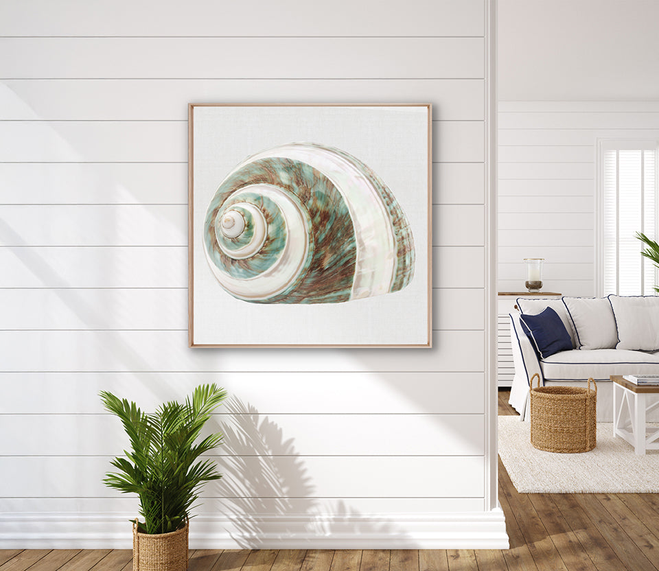 Shell Subject I (Canvas)