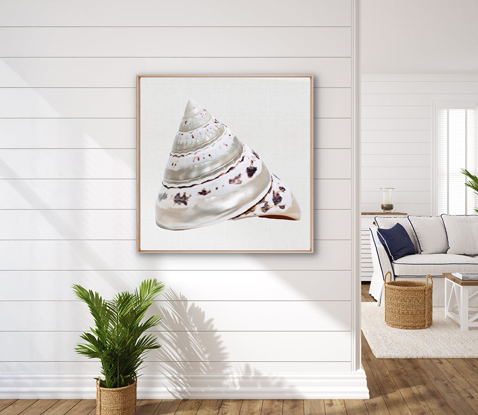 Shell Subject II (Canvas)