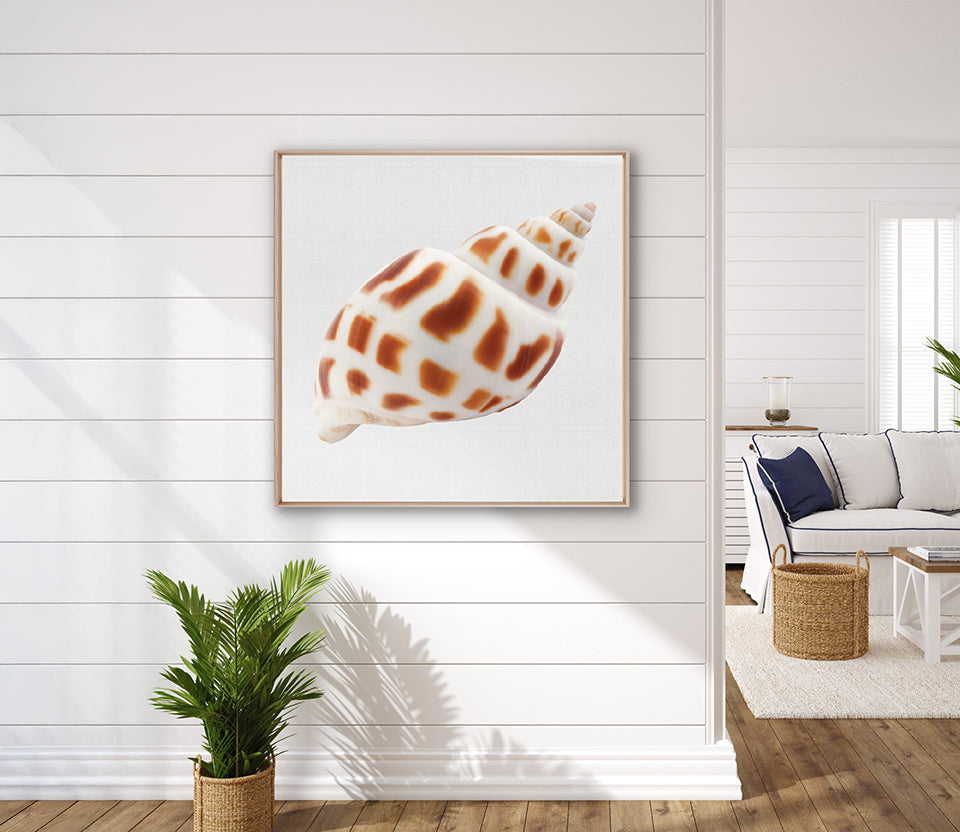 Shell Subject III (Canvas)