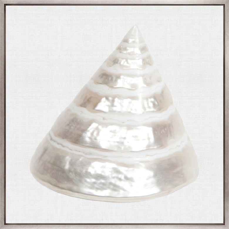 Shell Subject IV (Canvas)