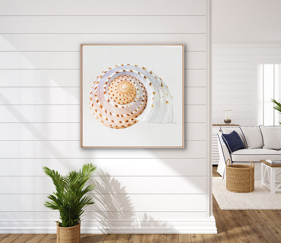 Shell Subject V (Canvas)