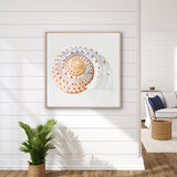 Shell Subject V (Canvas)