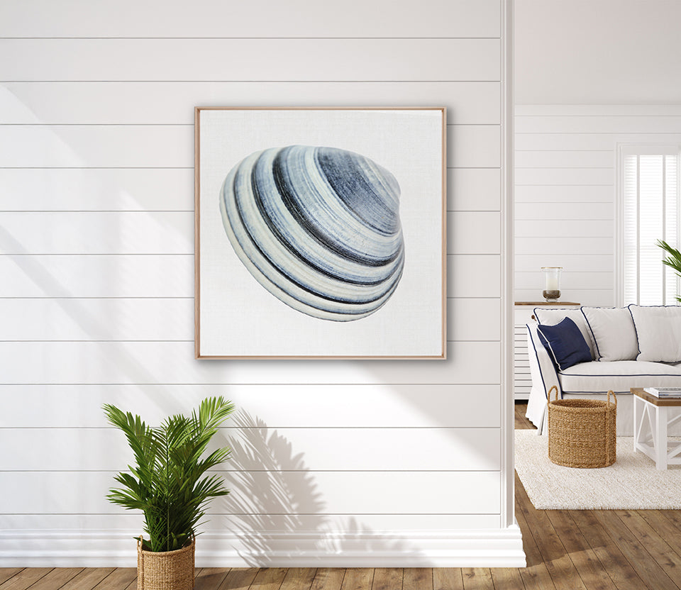 Shell Subject VI (Canvas)