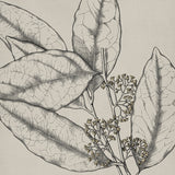 Maiden Beauty I (Canvas)