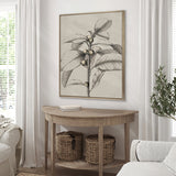 Maiden Beauty II (Canvas)