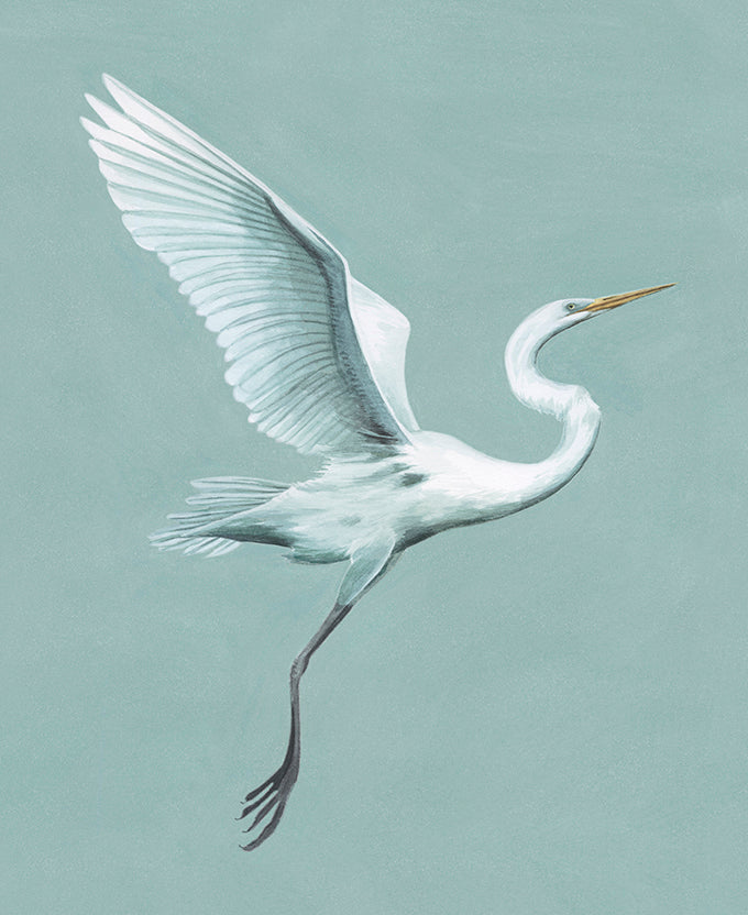 Majestic Egret I