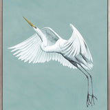Majestic Egret II (Canvas)