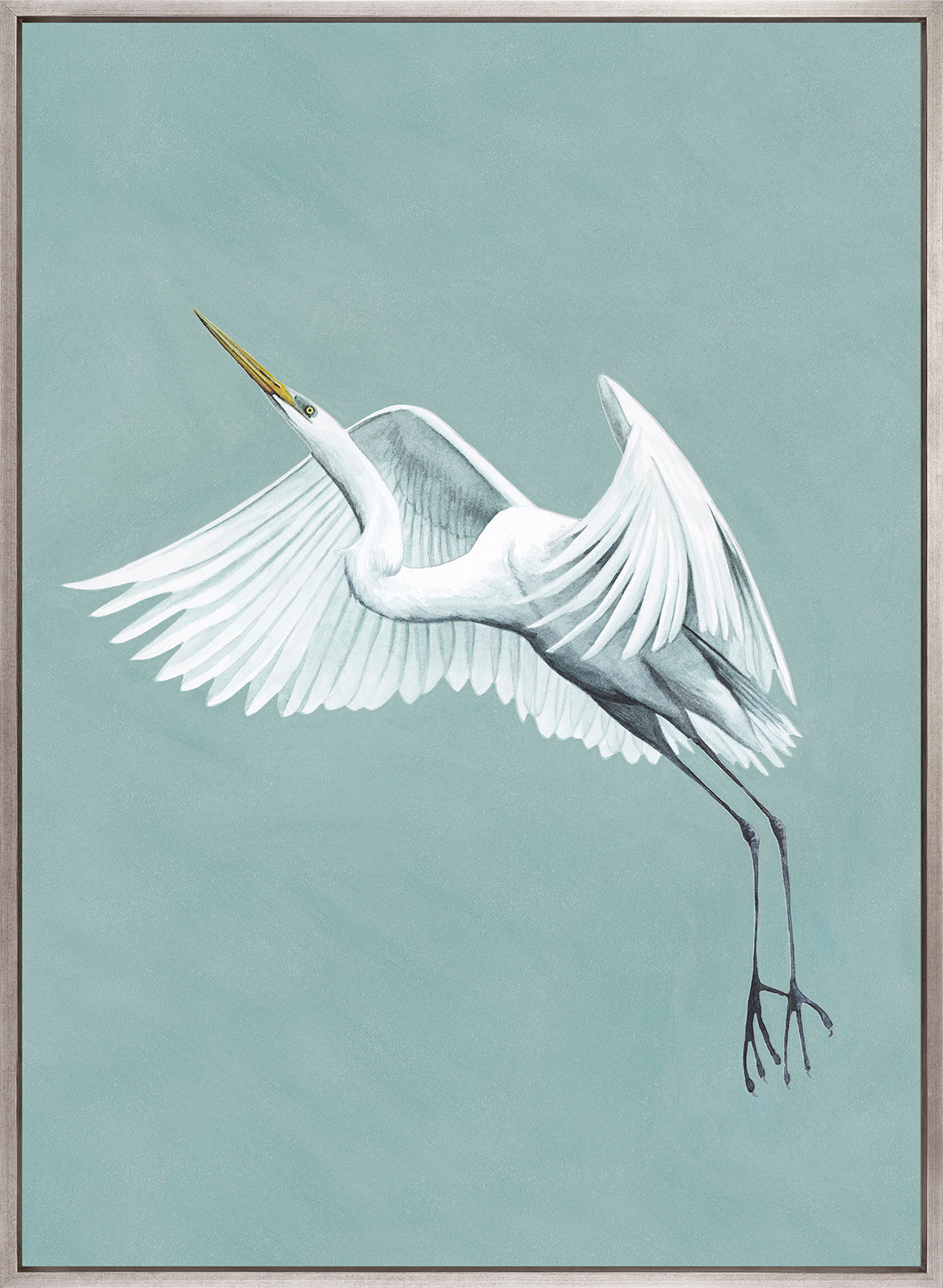 Majestic Egret II (Canvas)