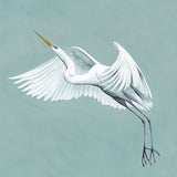 Majestic Egret II (Canvas)