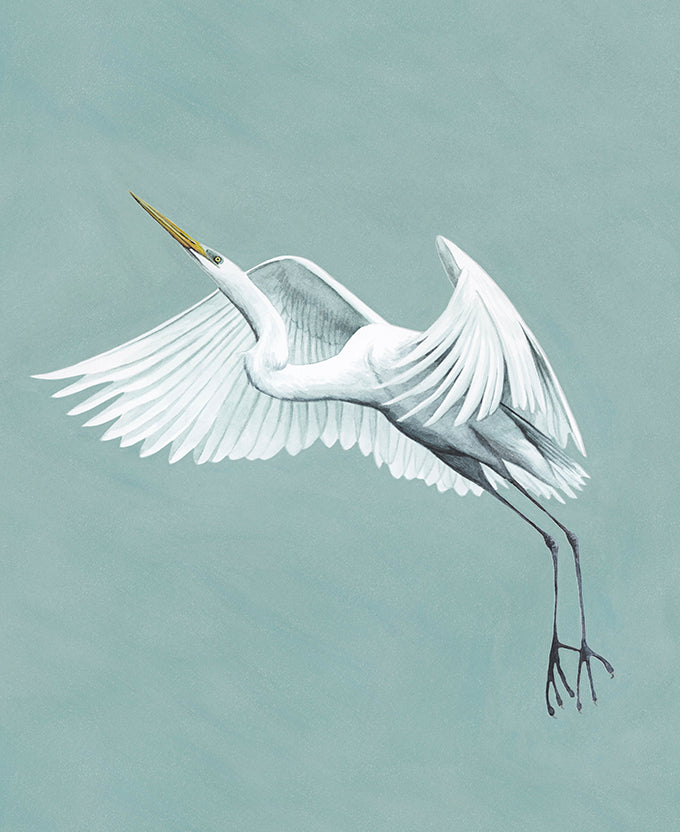 Majestic Egret II