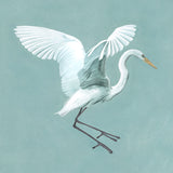 Majestic Egret III Small (465mm W x 560mm H) / Standard Clear Glass
