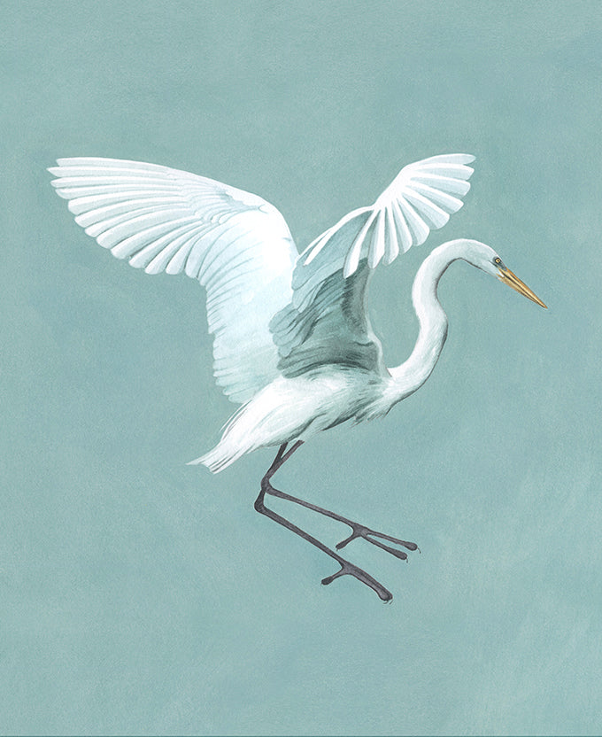 Majestic Egret III