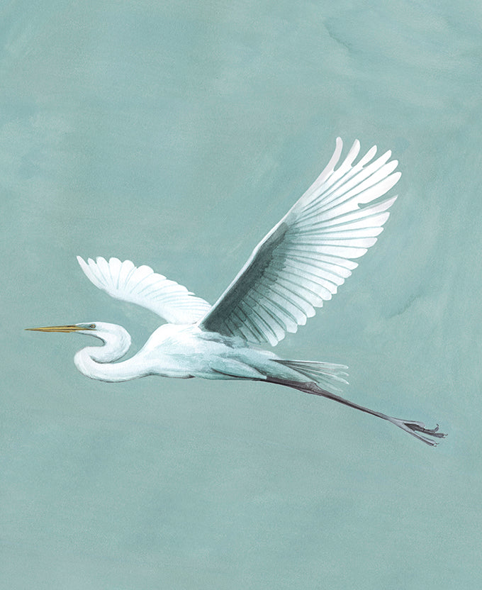 Majestic Egret IV