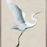 Majestic Egret V (Canvas) Large (903mm W x 1109mm H)