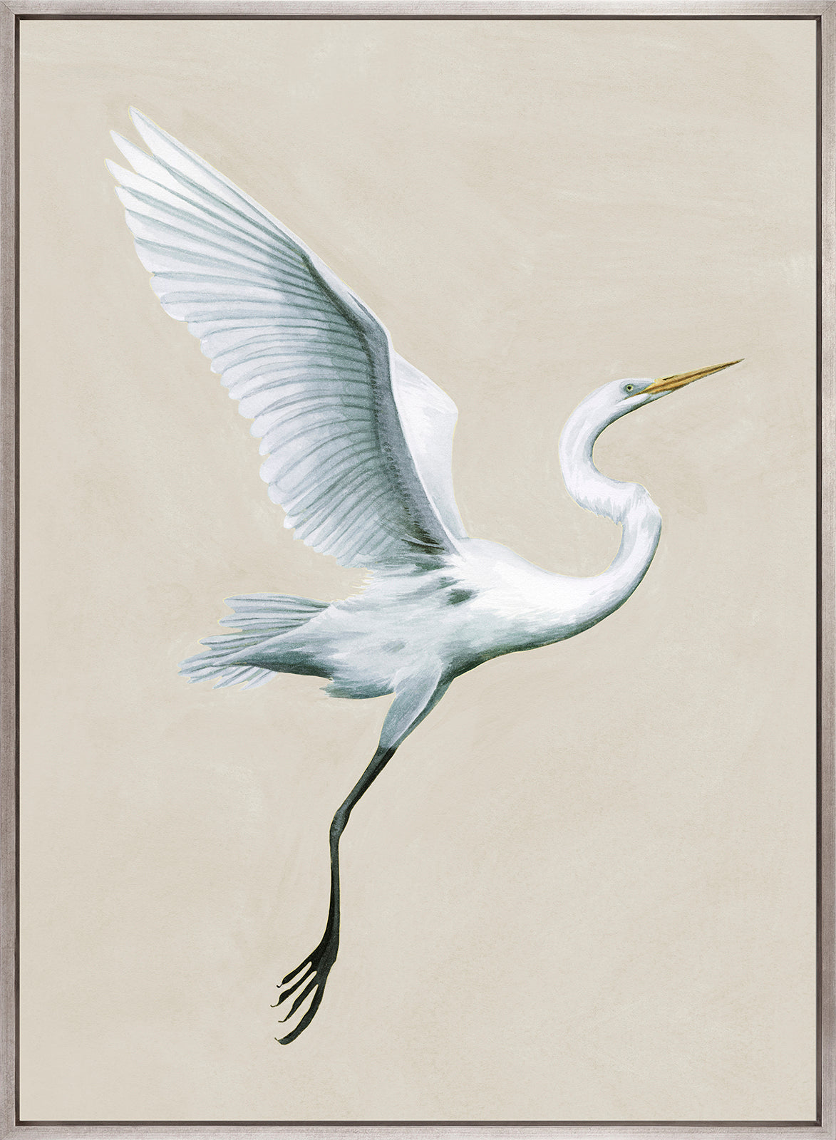 Majestic Egret V (Canvas)