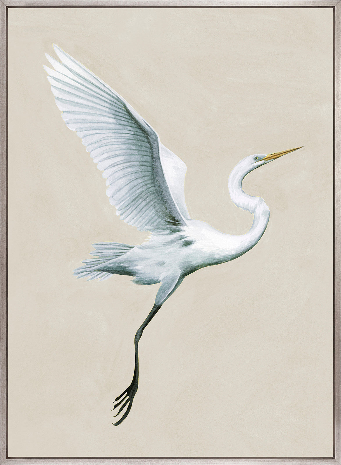 Majestic Egret V (Canvas)